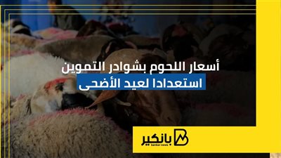 أسعار اللحوم بشوادر التموين استعدادا لعيد الأضحى | إنفوجراف