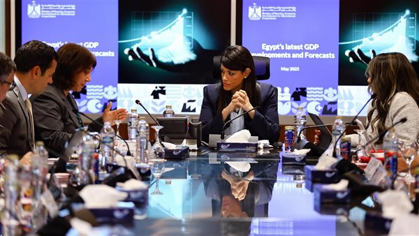 وزيرة التخطيط تبحث