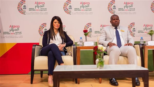 المشاط تشارك في جلسة
