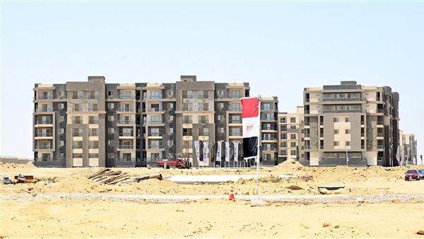 زايد الجديدة.. رئيس