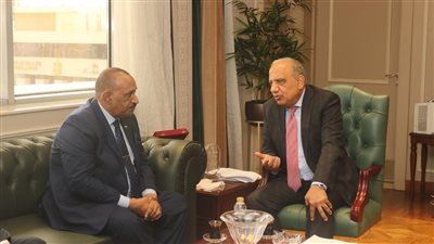 مصر والسودان تناقشان خطط دعم الشبكة الكهربائية وتوسيع مشروعات الطاقة المتجددة