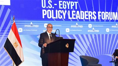 عبد العاطي: العلاقات مع الولايات المتحدة ركيزة استراتيجية.. والاستثمار أولوية وطنية