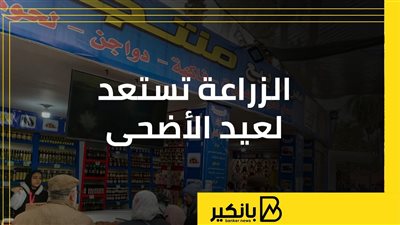 الزراعة تستعد لعيد الأضحى | إنفوجراف