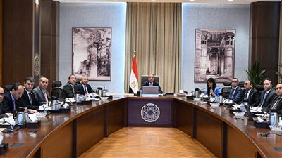 مدبولى: استمرار جهود الحكومة لتحقيق مستهدف استدامة المسار النزولي للدين الخارجي