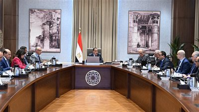 رئيس الوزراء يتابع موقف تنفيذ عددٍ من المشروعات الخدمية والتنموية بالوادي الجديد