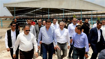 البنك الزراعي المصري يمول شراء 2000 رأس ماشية بقيمة 395 مليون جنيه لصالح  188 من صغار المربين بالشرقية