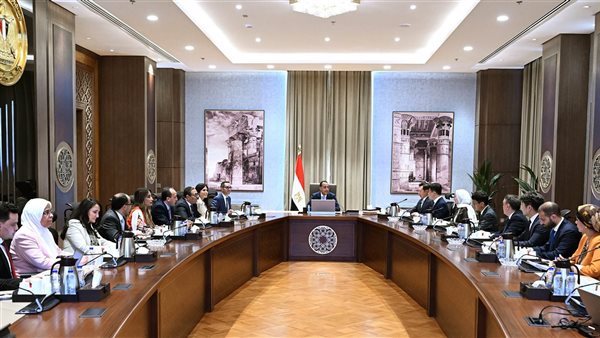رئيس الوزراء يستقبل