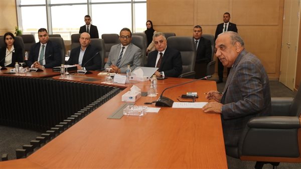 وزير الكهرباء والطاقة