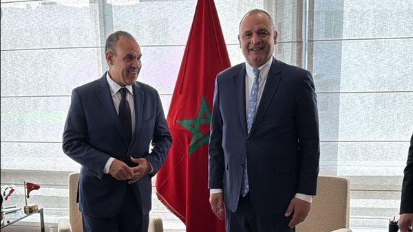 لقاء وزير الخارجية