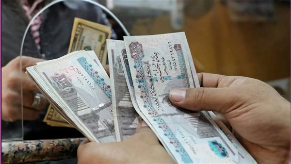 مرتبات العاملين في