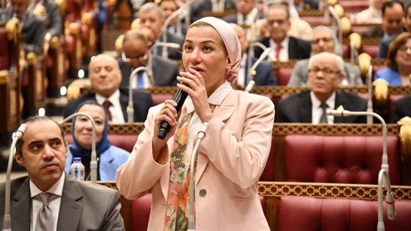 الدكتورة ياسمين فؤاد