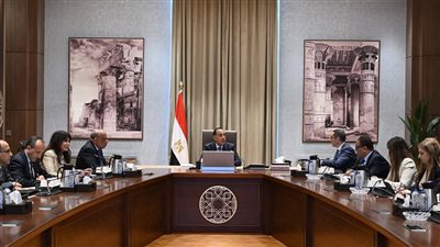 رئيس الوزراء يستعرض الفرص الاستثمارية في قطاع الكهرباء والطاقة خلال السنوات العشر القادمة 
