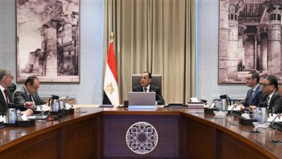 مدبولي يوجه بإعداد رؤية متكاملة للطروحات الحكومية في البترول وقطاع الأعمال لتعزيز دور القطاع الخاص