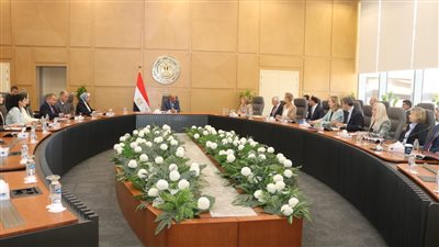 وزير الكهرباء يبحث مع بنك الاستثمار الأوروبي والاتحاد الأوروبي دعم مشروعات الطاقة المتجددة