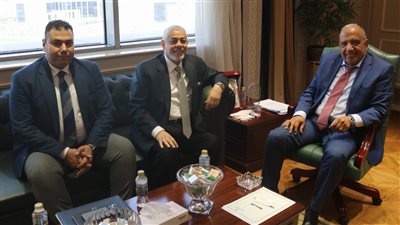 مصر والإمارات تبحثان تعزيز الشراكة في الطاقة المتجددة والهيدروجين الأخضر