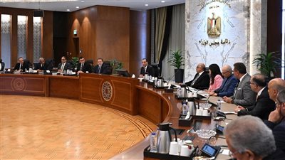 مدبولي: رصد عمليات بيع عقارات في الخارج بالنقد الأجنبي دون دخولها الجهاز المصرفي 