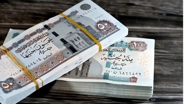الزيادة الجديدة في