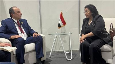 محمد شيمي: مصر تسعى لقيادة منصة تنموية أفريقية لتحقيق التكامل الاقتصادي 