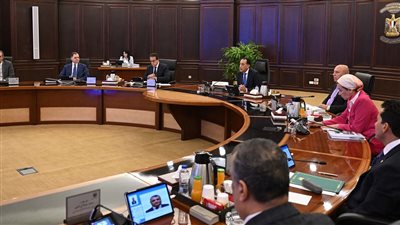 10 قرارات مهمة لمجلس الوزراء اليوم.. اعرفها