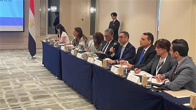 وزير الاستثمار: صناعة السيارات المصرية تمر بمرحلة تحول نوعي وترتكز على التصنيع المحلي 