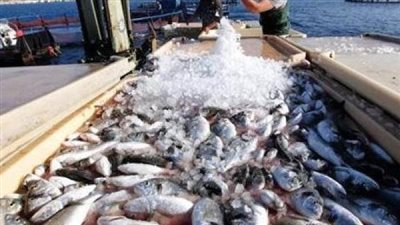 بعد أزمة المحطة النووية.. الصين تستأنف استيراد المأكولات البحرية من اليابان