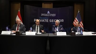 وزير العمل: قانون العمل الجديد يحقق التوازن بين أطراف الإنتاج ويوفر بيئة محفزة للاستثمار