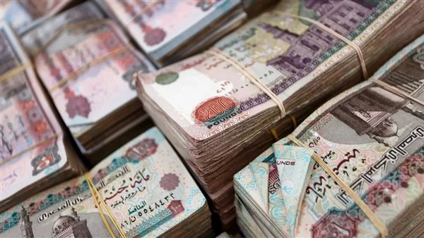 أدوات الدين المصرية