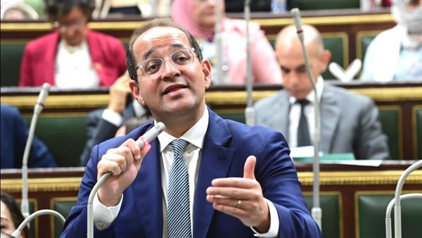 أحمد كجوك وزير المالية
