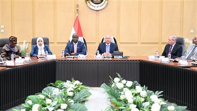 الشركات المصرية تتقدم لتنفيذ مشروعات تنموية في سيراليون بدعم حكومي مشترك