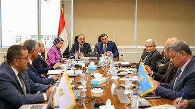 الشربيني والشيمي يناقشان فرص تعظيم العوائد من الأصول العقارية والسياحية للدولة