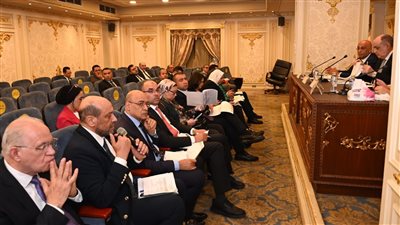 استجابة لمتغيرات السوق.. مقترحات برلمانية وحكومية لتعديل قانون المشروعات الصغيرة