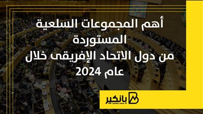 أهم المجموعات السلعية المستوردة من دول الاتحاد الإفريقي خلال عام 2024 | إنفوجراف 