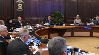 اجتماع الحكومة بالعلمين يناقش الأمن الغذائي والتعاون الإفريقي والمشروعات القومية