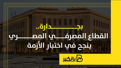بجدارة.. القطاع المصرفي المصري ينجح في اختبار الأزمة
