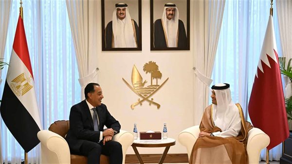 مدبولي مع رئيس وزراء