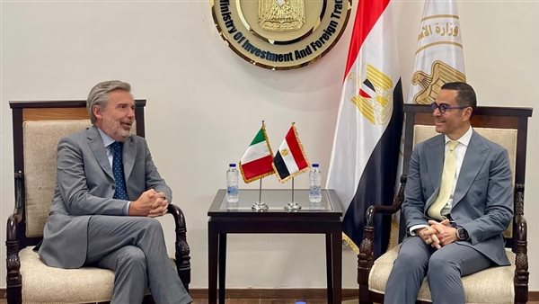 وزير الاستثمار والسفير