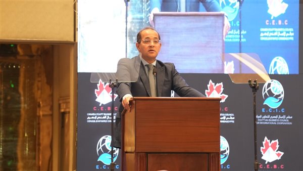 أحمد كجوك وزير المالية