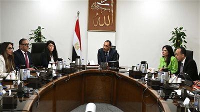 رئيس الوزراء يستعرض خطوات إنشاء وحدة مركزية لحصر ومتابعة وتنظيم الشركات المملوكة للدولة