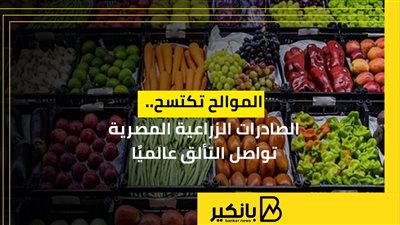 الموالح تكتسح.. الصادرات الزراعية المصرية تواصل التألق عالميًا | إنفوجراف