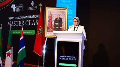 الضرائب المصرية تسجل إنجازًا رقميًا.. ونمو الحصيلة بنسبة 35%