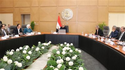 وزير الكهرباء: استمرار تطوير الشبكة القومية للكهرباء وتعزيز قدرتها لاستيعاب زيادة الأحمال 