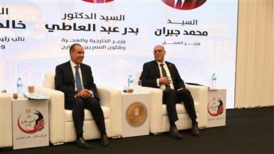 وزير العمل: مليار و388 مليون جنيه مستحقات أعيدت للمصريين بالخارج خلال عام ونصف