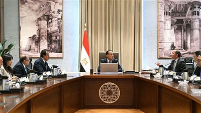 رئيس الوزراء يتابع جهود دعم صناعة الدواء في السوق المصرية ومؤشرات تطورها