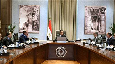 رئيس الوزراء يتابع استثمارات ومشروعات 