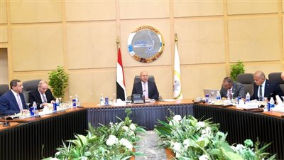 وزير الصناعة: خطة لتوسيع خطوط العبارات وتعزيز الأسطول البحري المصري