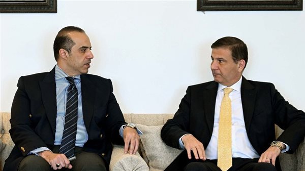 وزيرا الشئون النيابية