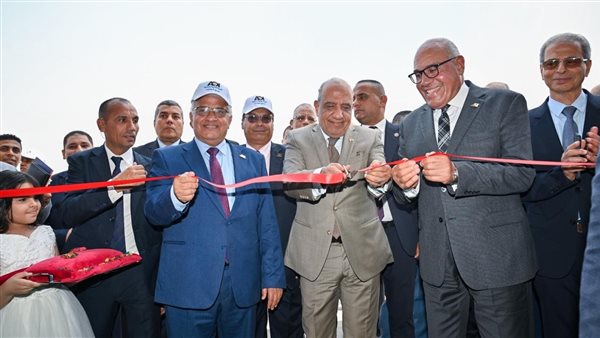 رئيس الهيئة العربية