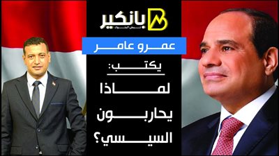 عمرو عامر يكتب.. لماذا يحاربون السيسي؟