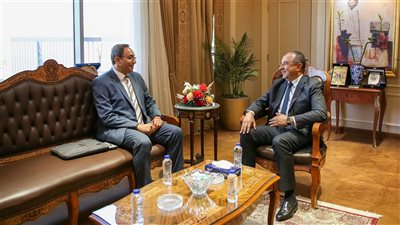 وزير قطاع الأعمال: تنمية الصعيد وتعظيم الاستفادة من الأصول أولوية استراتيجية