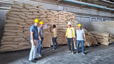 من المزرعة للسوق.. الحل في السيطرة على تكلفة الأعلاف